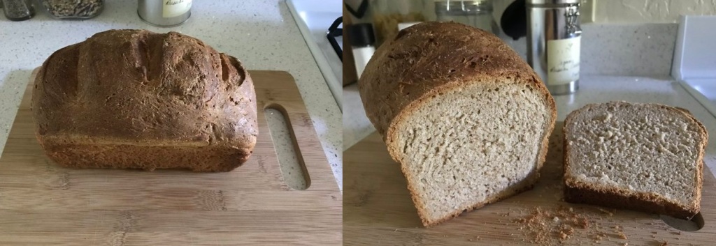 Adventures in Breadmaking